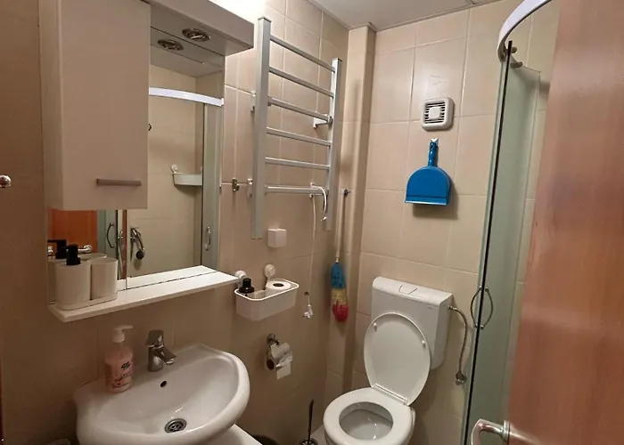 Vedrana Nedeljkovic Brzeće