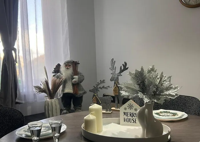 Vedrana Nedeljkovic *