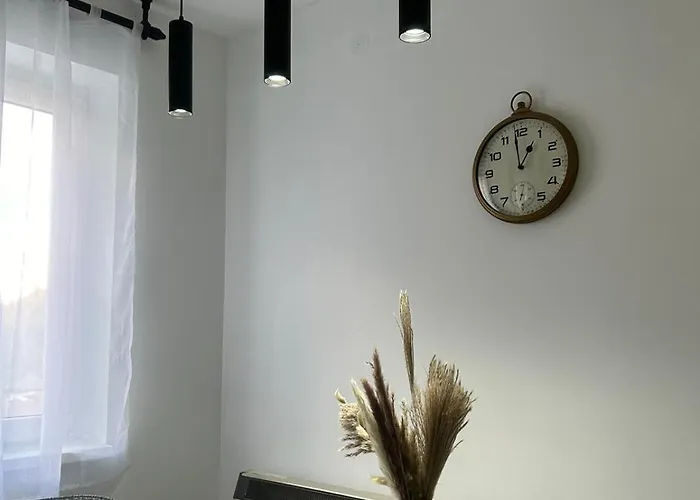 Vedrana Nedeljkovic Brzeće