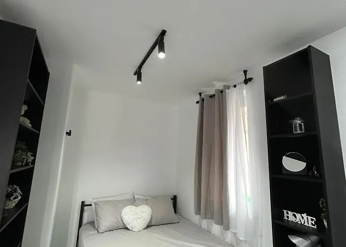 Vedrana Nedeljkovic *